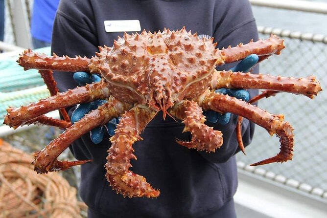 Bering Sea Crab Fisherman's Tour from Ketchikan - Boarding the Aleutian Ballad at Berth 3