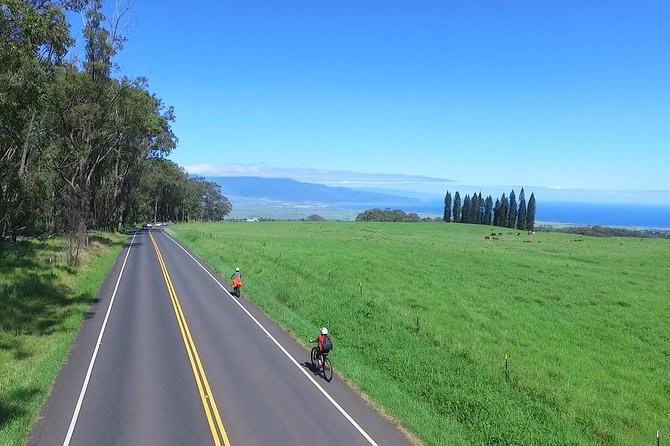 Best Haleakala Downhill Self-Guided Bike Tour with Maui Sunriders - The 6,500-foot start on Haleakala