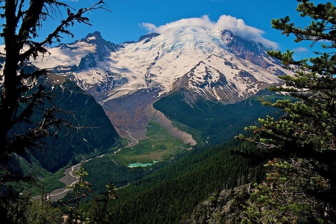 Best of Mount Rainier National Park from Seattle: All-Inclusive Small-Group Tour - Christine Falls and Narada Falls add easy drama