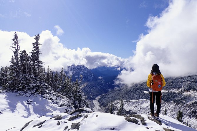 Best of Mount Rainier National Park from Seattle: All-Inclusive Small-Group Tour - Reflection Lakes and the search for the perfect view