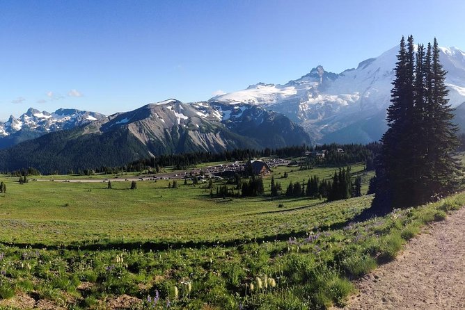 Best of Mount Rainier National Park from Seattle: All-Inclusive Small-Group Tour - Lunch, snacks, and the all-inclusive promise