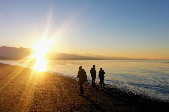 Best of Olympic National Park from Seattle: All-Inclusive Small-Group Day Tour - The Elwha River and a Changed Valley