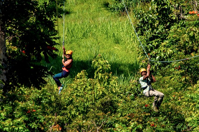 Big Island: 8-Zipline & Suspension Bridge Waterfall Adventure - The waterfall, streams, and tropical plants