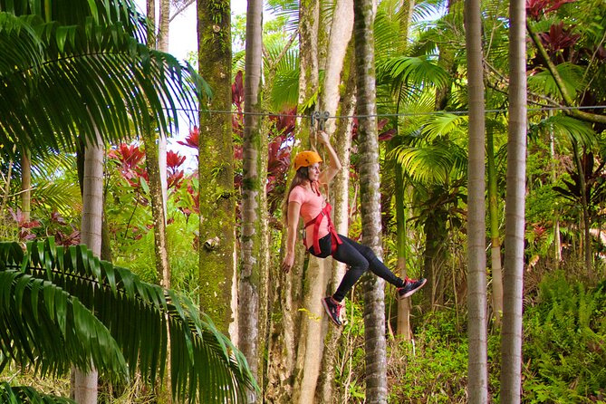 Big Island: 8-Zipline & Suspension Bridge Waterfall Adventure - Guides make or break this experience