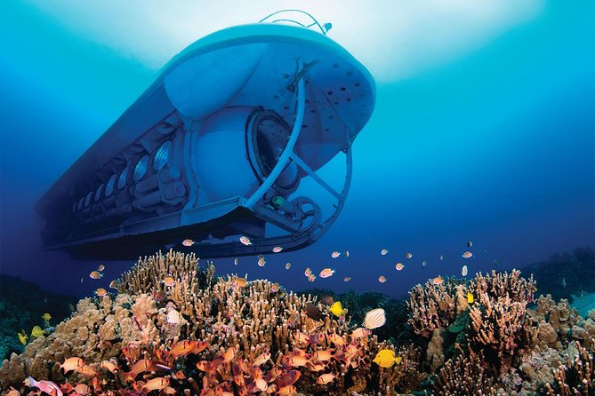 Big Island: Atlantis Submarine from Kona Beach - The narration adds real value