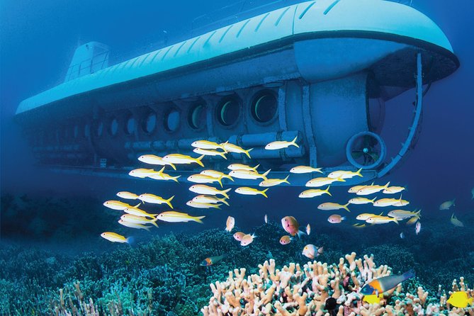 Big Island: Atlantis Submarine from Kona Beach - Weather, cancellations, and practical limits