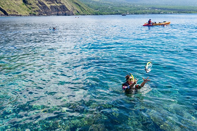 Big Island: Captain Cook Snorkel On A Power Catamaran With Lunch - Two Hours At Captain Cook’s Snorkeling Area
