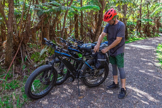 Big Island: Fat Tire E-Bike Tour through Volcanoes National Park - Through the forest and toward the lava tube