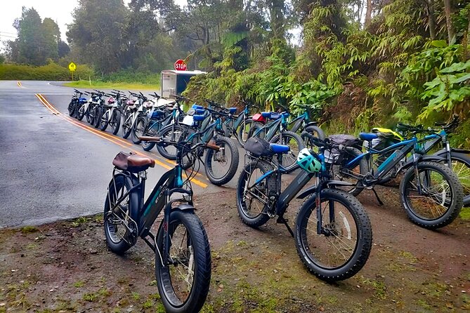 Big Island: Fat Tire E-Bike Tour through Volcanoes National Park - What $199 buys you