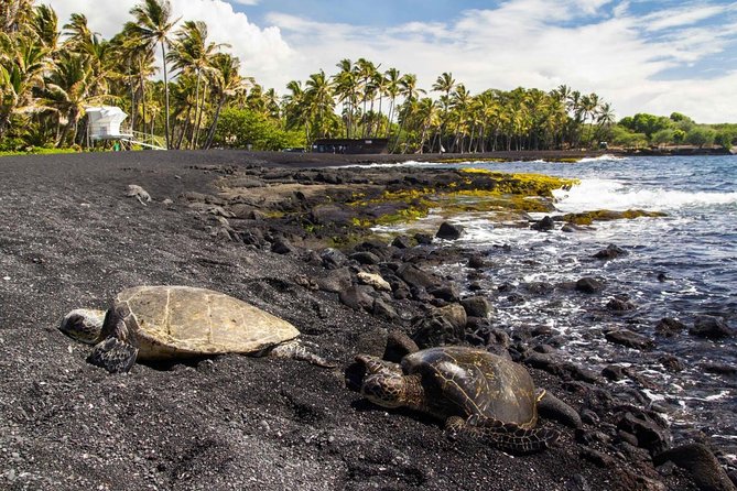 Big Island Highlights: Coffee, Volcano, Black Sands & Waterfall - Key details to know before booking