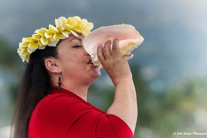 Big Island Historical Dinner Cruise to Kealakekua Bay - Leaving Kailua Pier at 4 p.m.