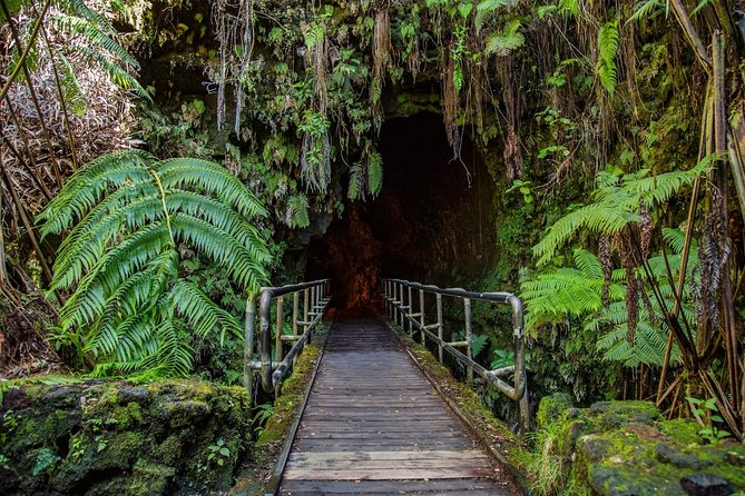 Big Island in a Day: Volcanoes Waterfalls Sightseeing and History - Punalu’u Beach and the search for sea turtles