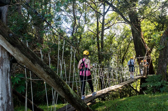 Big Island Kohala Canopy Zipline Adventure - Safety, comfort, and the real physical demands