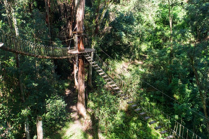 Big Island Kohala Canopy Zipline Adventure - Who will enjoy this most?
