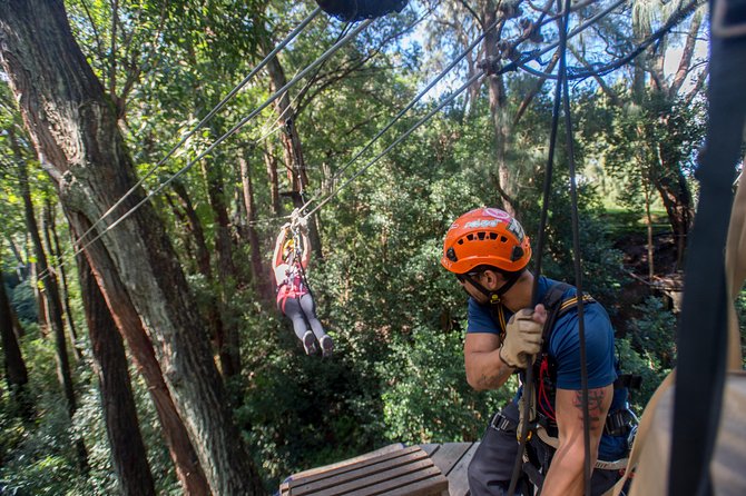 Big Island Kohala Canopy Zipline Adventure - Practical planning for your Big Island day