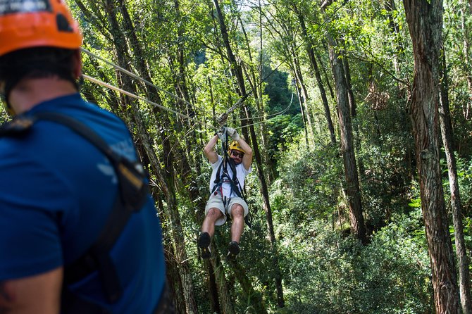 Big Island Kohala Canopy Zipline Adventure - Forest canopy, stream, and ocean views