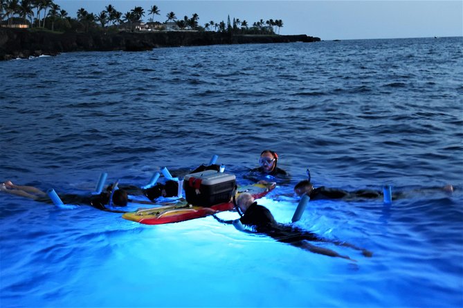 Big Island: Kona Manta Ray Snorkel Tour in Keauhou Harbor - Is $25 a good value?