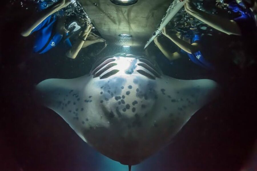 Big Island: Night Swim with Manta Ray with Hot Chocolate - The quick ride from Keauhou Bay
