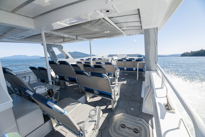 Big Island: Pelagic Whale Watch Tour - What you might see, and what you might miss
