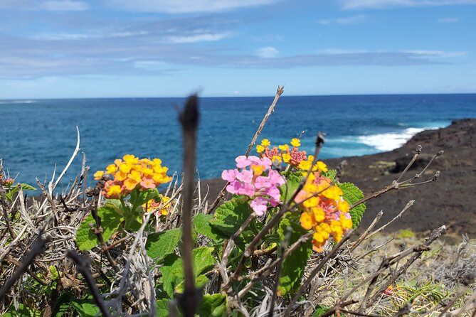 Big Island Southside ATV Tour - Starting at noon in Waiohinu