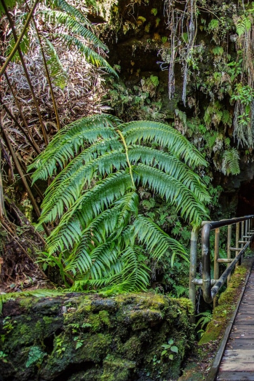 Big Island: Volcanoes, Waterfalls, & Coffee Farm Day-Trip - Rainbow Falls is brief but easy to enjoy