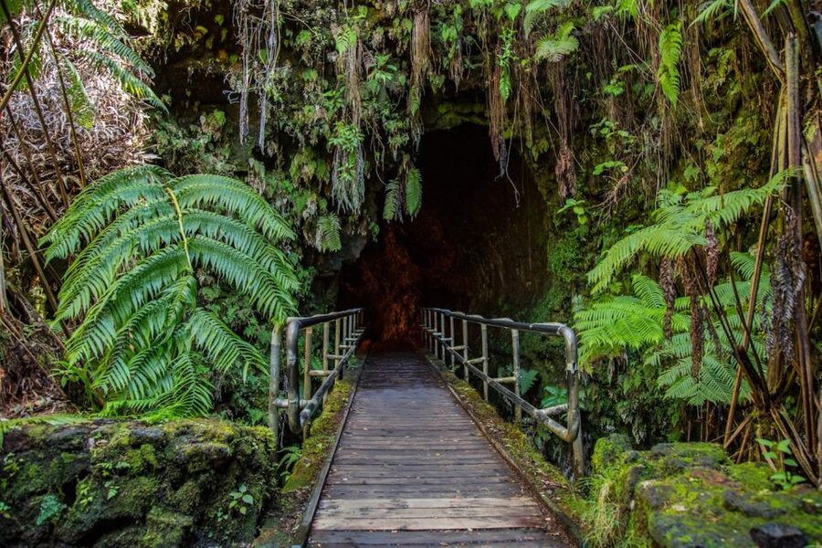 Big Island: Volcanoes, Waterfalls, & Coffee Farm Day-Trip - Punalu’u Black Sand Beach and the chance to see honu