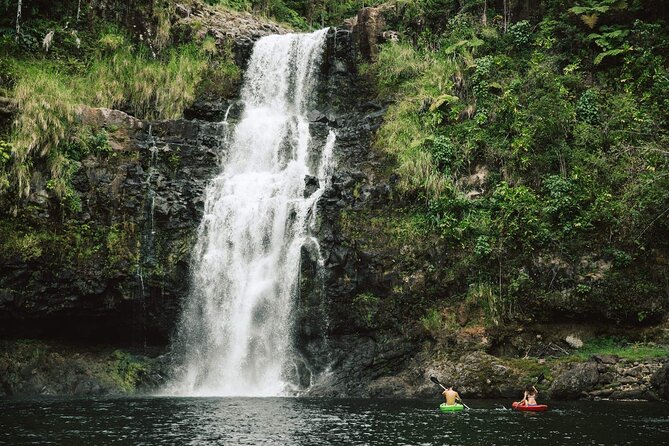 Big Island Waterfalls Tour with Swimming and Botanical Garden - From Kona to Waipio Valley’s Sea Cliffs