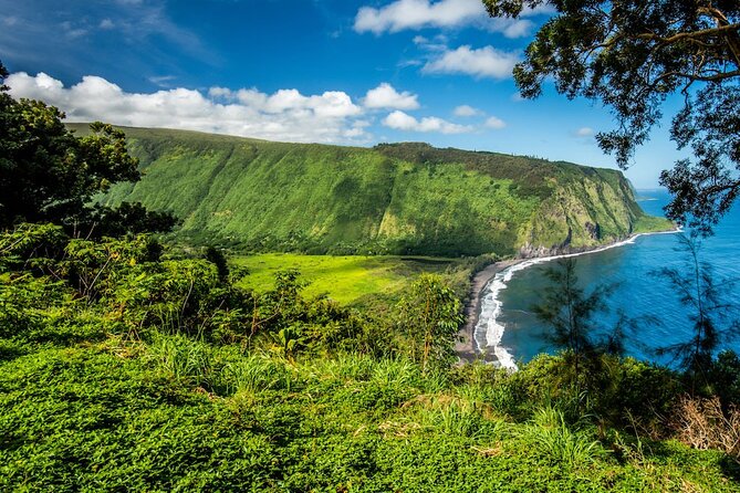 Big Island Waterfalls Tour with Swimming and Botanical Garden - Lunch, Snacks, and the Comfort of the Van