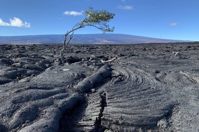 Big Island Waterfalls Tour with Swimming and Botanical Garden - Returning Across Saddle Road