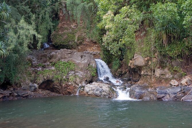 Big Island Zipline Tour Near Akaka Falls (250-ft Waterfall!) - The first three lines build your confidence