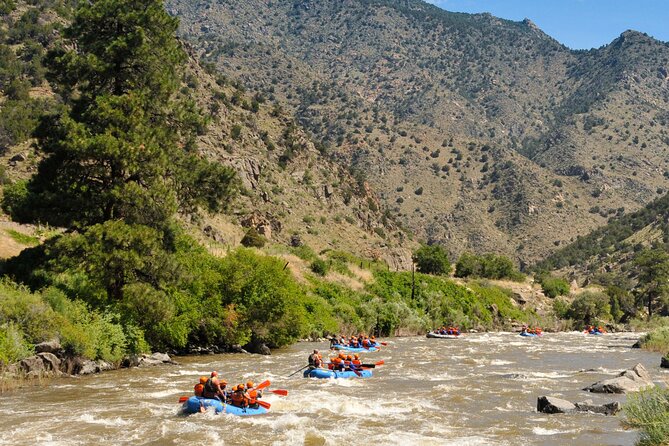 Bighorn Sheep Canyon Half Day Tour (Free Wetsuit Gear Use) - Morning or afternoon departure?