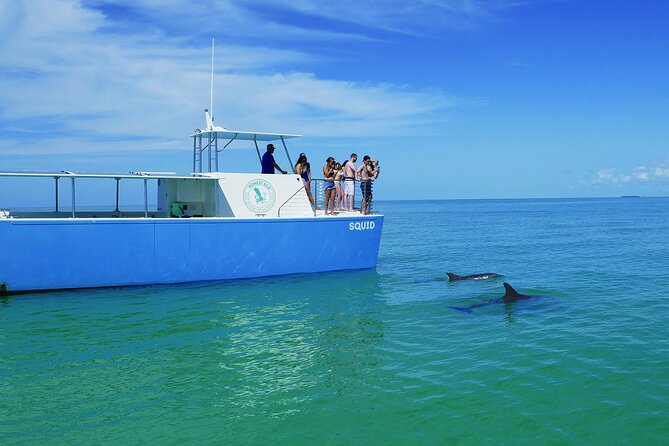 Biologist Owned & Operated: Dolphin Watching & Guided Snorkeling - Patient Help for First-Time Snorkelers