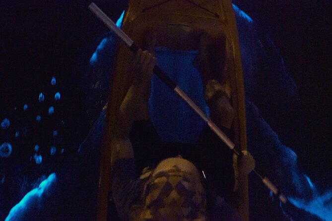 Bioluminescence Kayak Tour - Why This Lagoon Tour Is Different