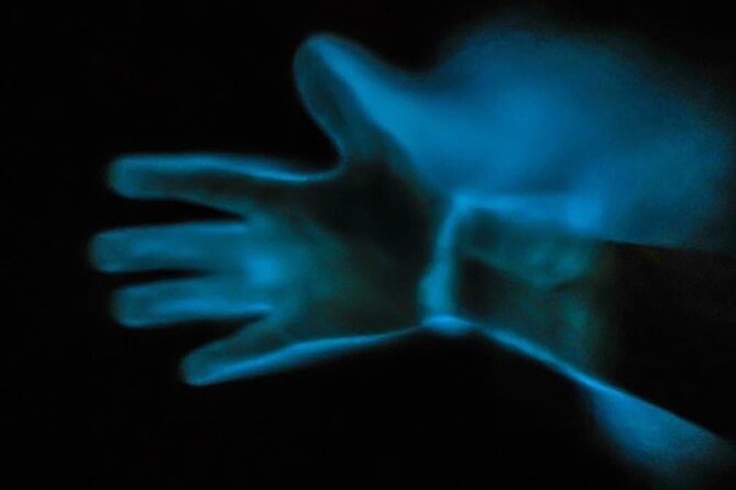 Bioluminescence Kayak Tour - Watching Fish, Manatees, and Dolphins