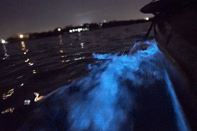 Bioluminescence Kayak Tour - Summer Dinoflagellates From May Through Early November
