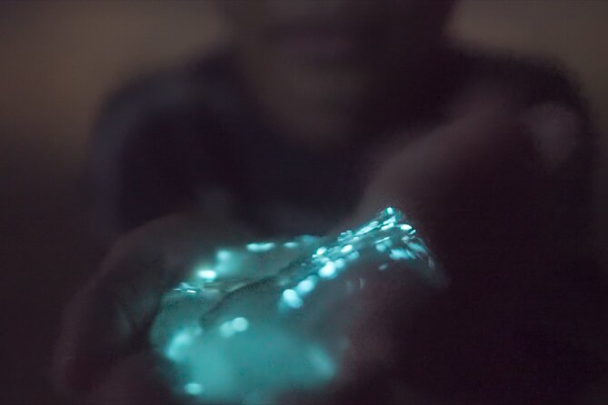 Bioluminescence Kayak Tour - How Much Value Does the Two-Hour Tour Offer?