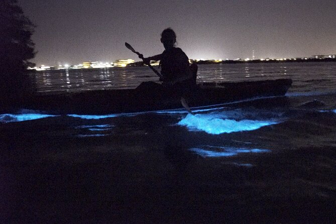 Bioluminescence Kayak Tour - Paddling Into the Dark
