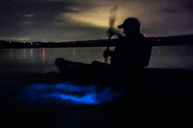 Bioluminescence Night Kayaking Tour of Merritt Island Wildlife Refuge - When the water begins to sparkle