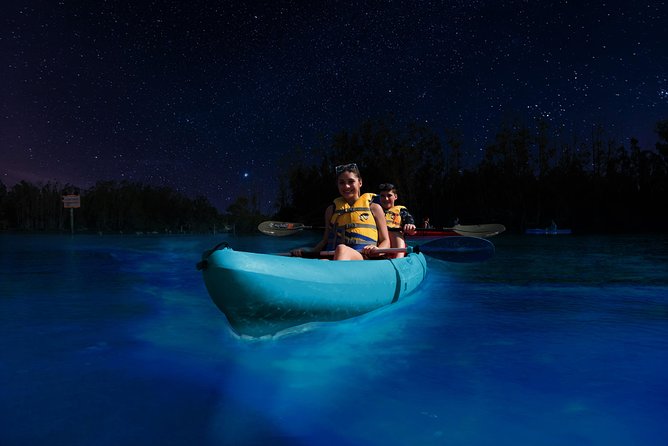 Bioluminescence Night Kayaking Tour of Merritt Island Wildlife Refuge - Is $75 a fair price?