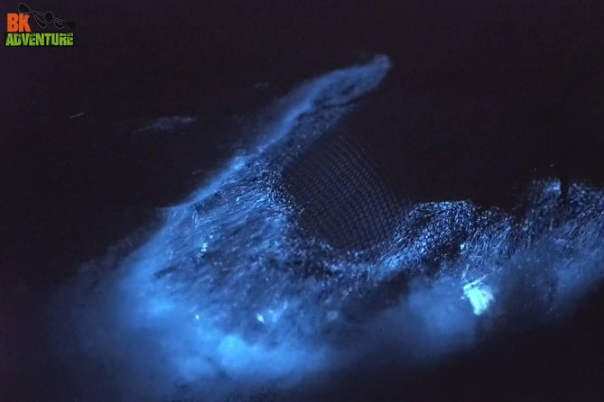 Bioluminescence Night Kayaking Tour of Merritt Island Wildlife Refuge - The first paddle into the refuge