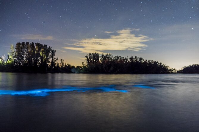 Bioluminescent Clear Kayak Tours in Titusville - Why clear kayaks change the view
