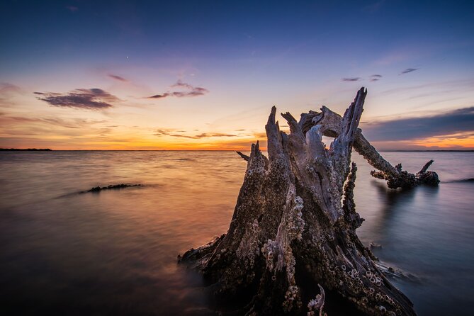 Bioluminescent Clear Kayak Tours in Titusville - The limits you should take seriously