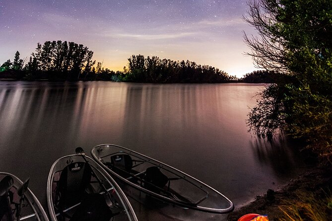 Bioluminescent Clear Kayak Tours in Titusville - Wildlife does not stop when the sun goes down