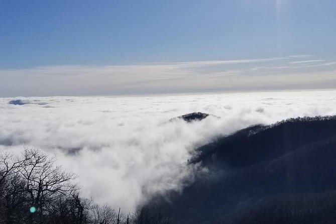Blue Ridge Parkway Waterfalls Hiking Tour from Asheville - Tony’s guiding style adds real value