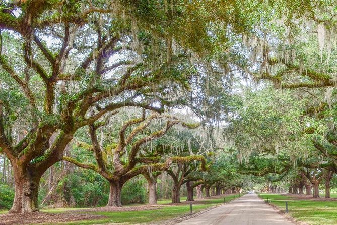 Boone Hall Plantation All-Access Admission Ticket - The Gullah presentation is the emotional center