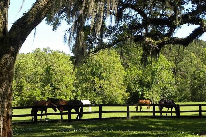 Boone Hall Plantation All-Access Admission Ticket - What the $36.50 admission is worth