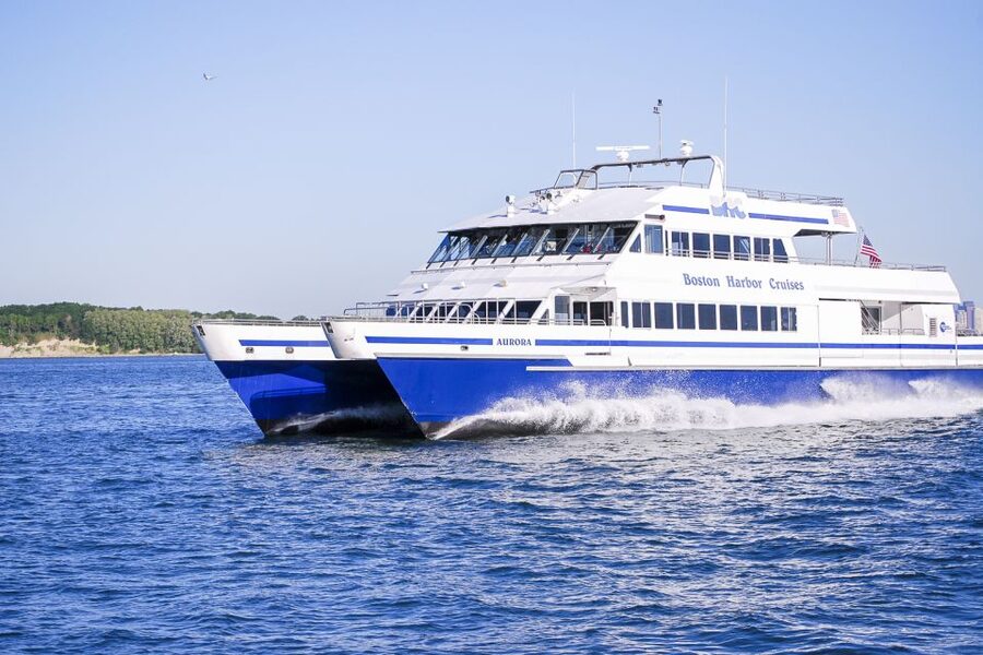 Boston: City Cruises Whale Watching Cruise - Key points before you book