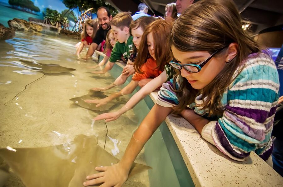 Boston: New England Aquarium Entry + Optional Simons Theatre - Key Points Before You Go