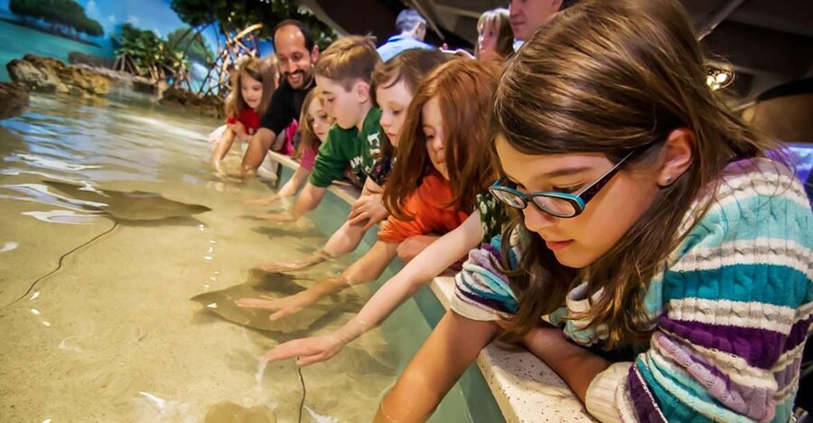 Boston: New England Aquarium Entry + Optional Simons Theatre - Crowds, Timing, and Moving Through the Building