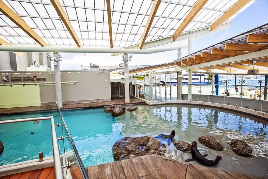 Boston: New England Aquarium Entry + Optional Simons Theatre - What Your $39 Admission Covers